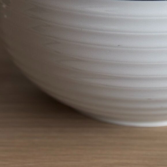 Crate & Barrel Roulette Spal Portugal White Blue Band Large Serving Bowl 8.75" - Picture 6 of 7